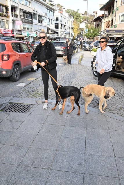 ESRA TÜMEN, İPEK VAROL