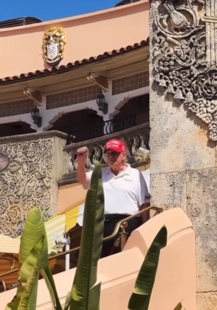 AMERİKA BİRLEŞİK DEVLETLERİ BAŞKANI DONALD TRUMP