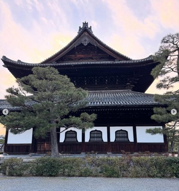 GENEL 