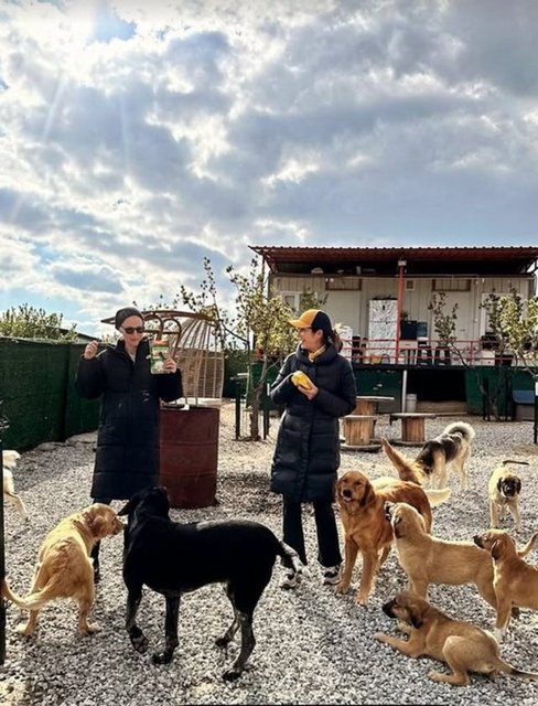 DERİN MERMERCİ, ŞEBNEM ÇAPA