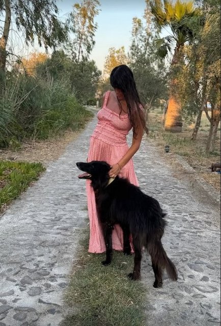 AYŞE BOYNER