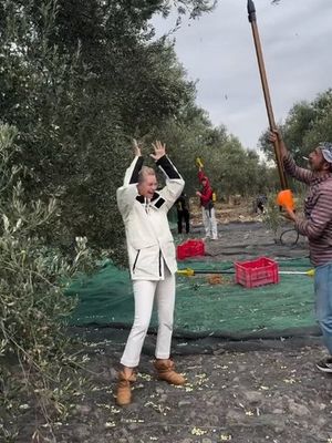 'Hasat Zamanı'