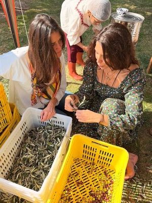 Boyner Ailesi'nden doğayla iç içe zeytin hasadı