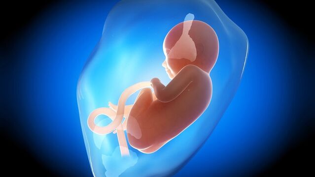 Amniyon sıvısının az veya fazla olması neyin habercisi?