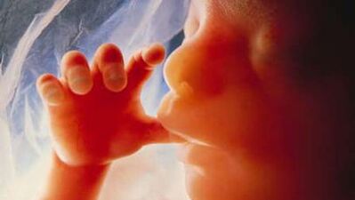 Bebeğin hayat suyu amniyon