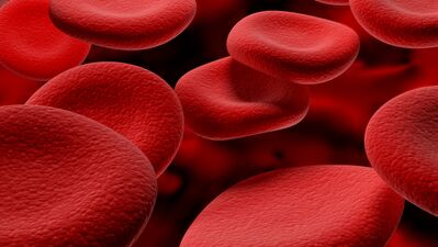 Tüp bebek takibi nasıl olmalı?