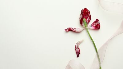 Libidonuzu yükseltmek için 8 öneri