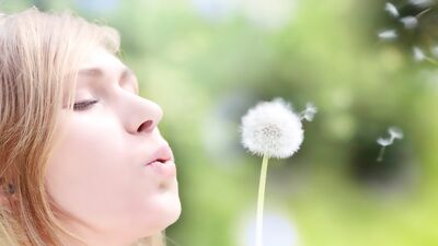 Polen alerjisinden korunmak için sabahları pencerenizi açmayın!