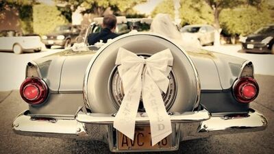 Yeni ev kuracaklara öneriler