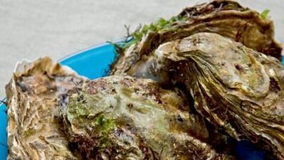 Vinagret soslu istiridye