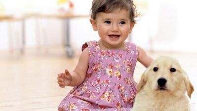 Kedi ya da köpeğiniz bebeğinizle kucak kucağa