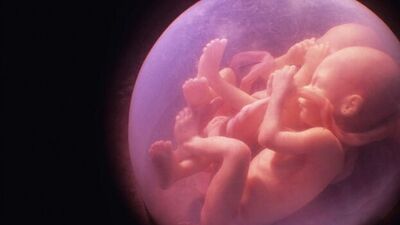 İkiz gebelik hakkında merak edilen her şey