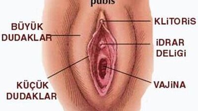 Cinselliğin merkezi: Klitoris