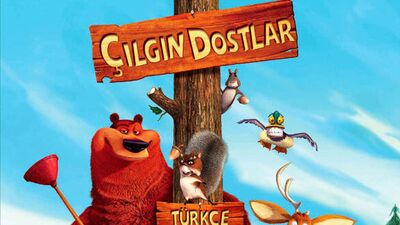 Çılgın Dostlar