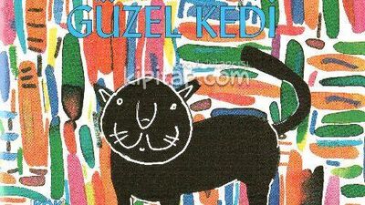 Kara Kedi Güzel Kedi