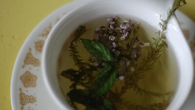 Aftın ilacı civanperçemi çayı