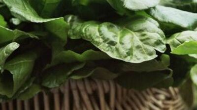 Isırgan otuyla geç yaşlanın