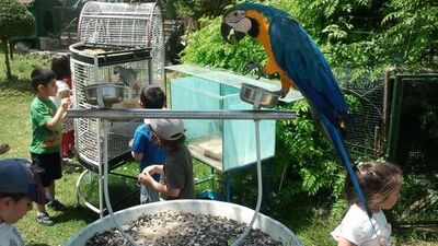 Şile Hayvanat Bahçesi