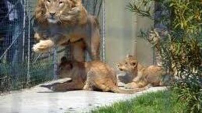 Darıca Hayvanat Bahçesi