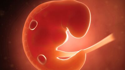 Hamileliğin ilk 3 haftasında neler oluyor?