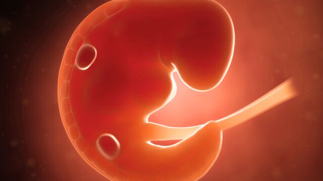 Hamileliğin ilk 3 haftasında neler oluyor?