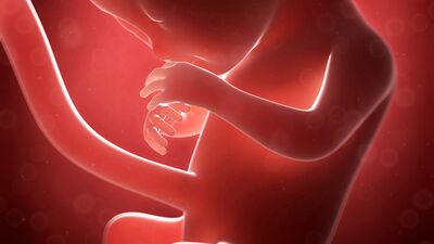 Gebeliğin 16. haftasında neler oluyor?