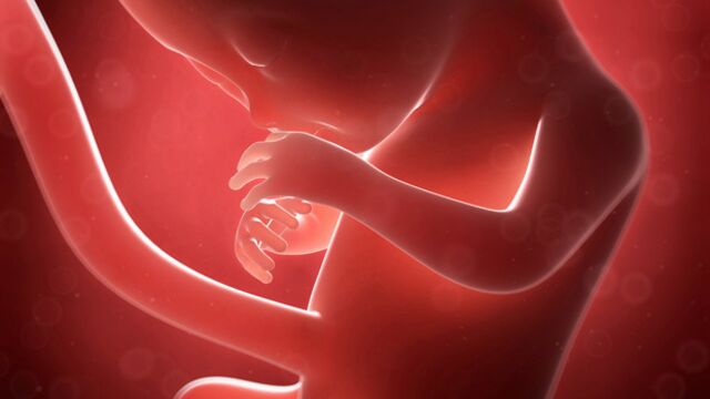 Gebeliğin 16. haftasında neler oluyor?