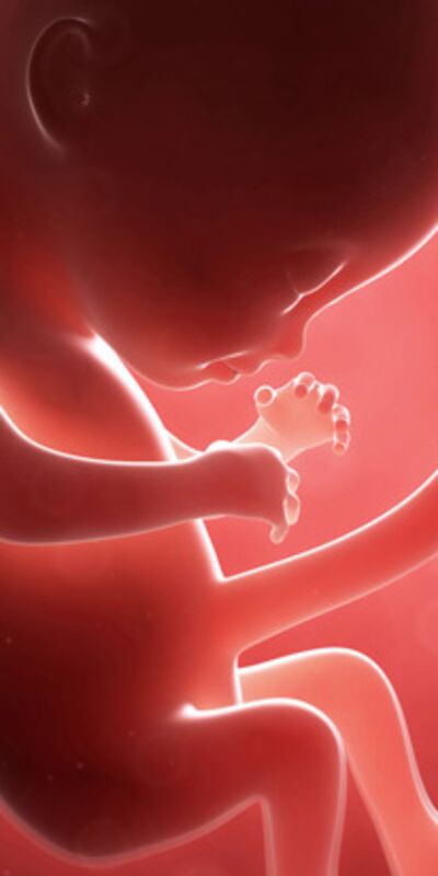 Gebeliğin 18. haftasında neler oluyor?