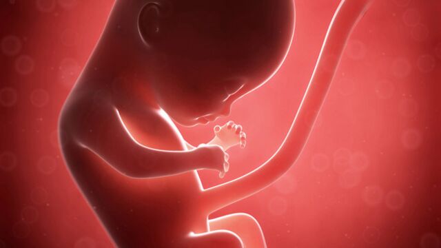 Gebeliğin 18. haftasında neler oluyor?