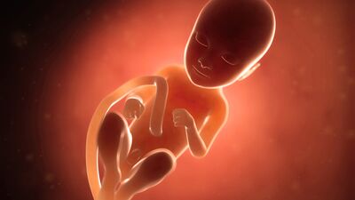 Gebeliğin 30. haftasında neler oluyor?