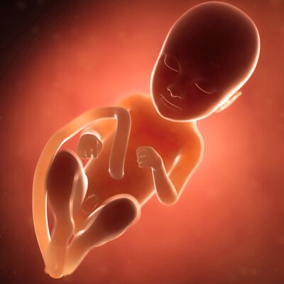 Gebeliğin 30. haftasında neler oluyor?