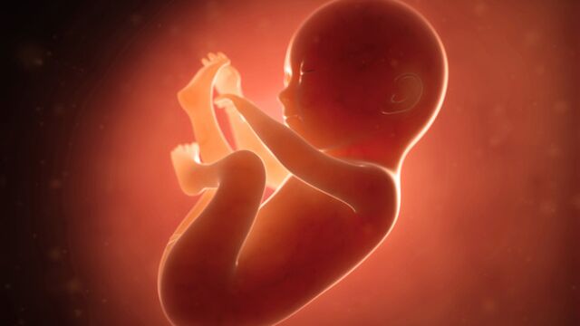 Gebeliğin 20. haftasında neler oluyor?