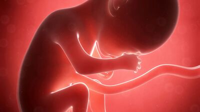 Gebeliğin 21. haftasında neler oluyor?