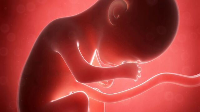 Gebeliğin 21. haftasında neler oluyor?