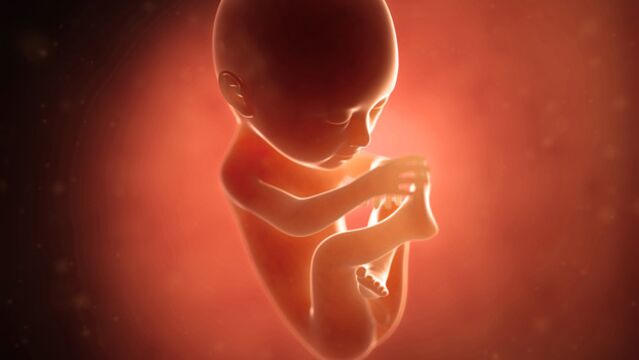 Gebeliğin 22. haftasında neler oluyor?