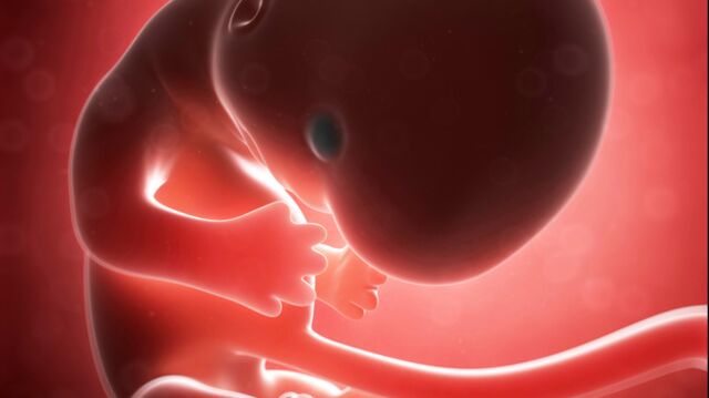 Gebeliğin 9. haftasında neler oluyor?