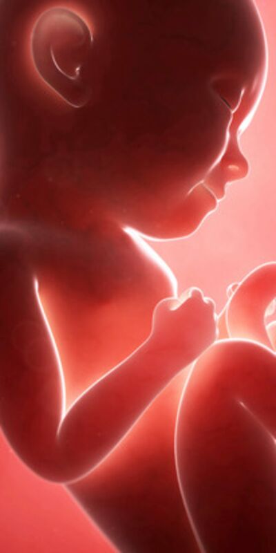 Gebeliğin 31. haftasında neler oluyor?