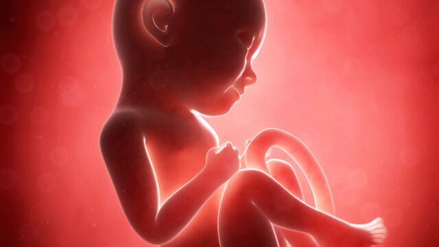 Gebeliğin 31. haftasında neler oluyor?