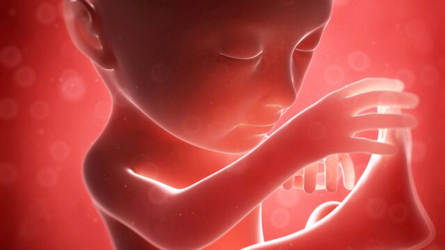 Gebeliğin 24. haftasında neler oluyor?