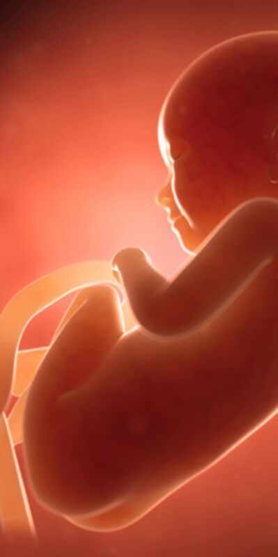 Gebeliğin 26. haftasında neler oluyor?