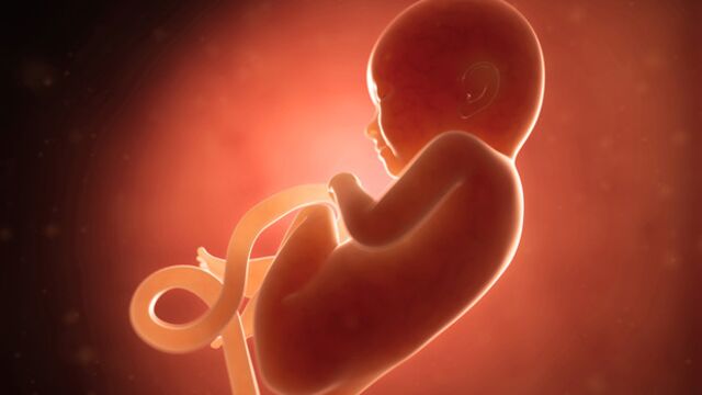 Gebeliğin 26. haftasında neler oluyor?
