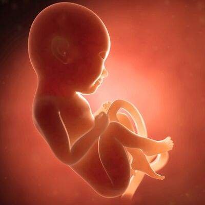 Gebeliğin 27. haftasında neler oluyor?