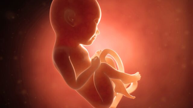 Gebeliğin 27. haftasında neler oluyor?