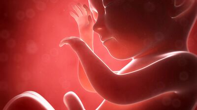 Gebeliğin 28. haftasında neler oluyor?