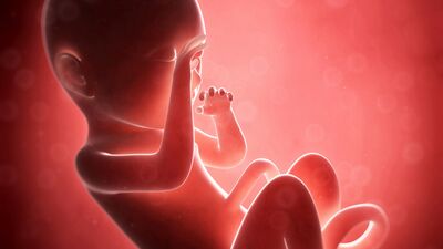 Gebeliğin 29. haftasında neler oluyor?