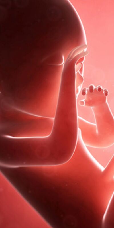 Gebeliğin 29. haftasında neler oluyor?