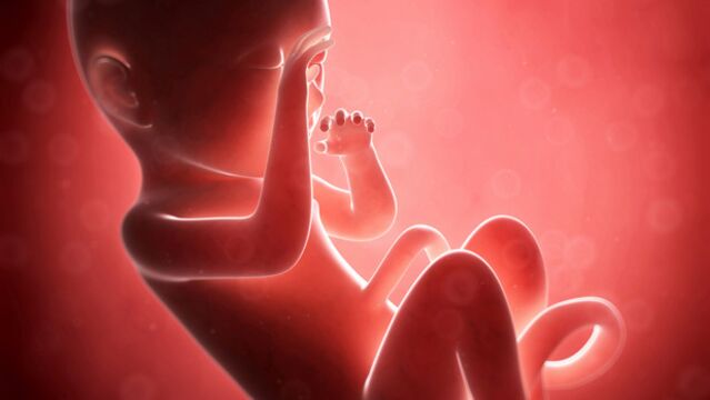 Gebeliğin 29. haftasında neler oluyor?