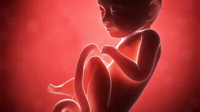 Gebeliğin 33. haftasında neler oluyor?