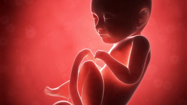 Gebeliğin 33. haftasında neler oluyor?