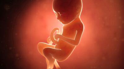 Gebeliğin 32. haftasında neler oluyor?